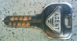 ���̈ꗗ AGENT �G�[�W�F���g