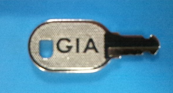 ���̈ꗗ GIA �������쏊
