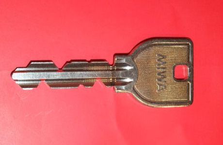 ���̐��X 110�ԃ��_�����^ �`�� �Z�{�� ���� ���� �X�y�A�L�[ �f�B���v���L�[ ������