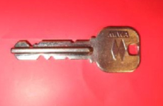 ���̐��X 110�ԃ��_�����^ �`�� �Z�{�� ���� ���� �X�y�A�L�[ �f�B���v���L�[ ������